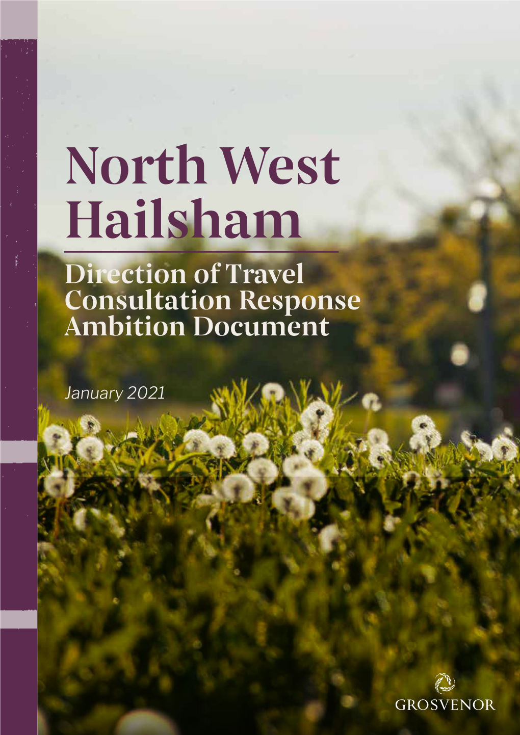 Direction-Of-Travel-North-West-Hailsham-Ambition-Document-January-2021-(1).Pdf