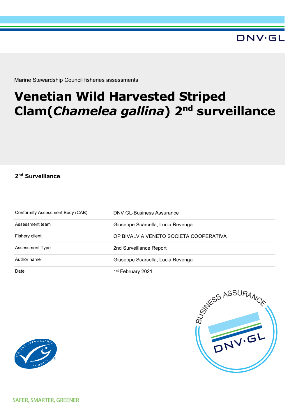 Venetian Wild Harvested Striped Clam(Chamelea Gallina) 2Nd Surveillance 1