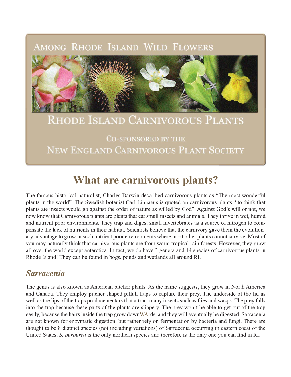 What Are Carnivorous Plants?