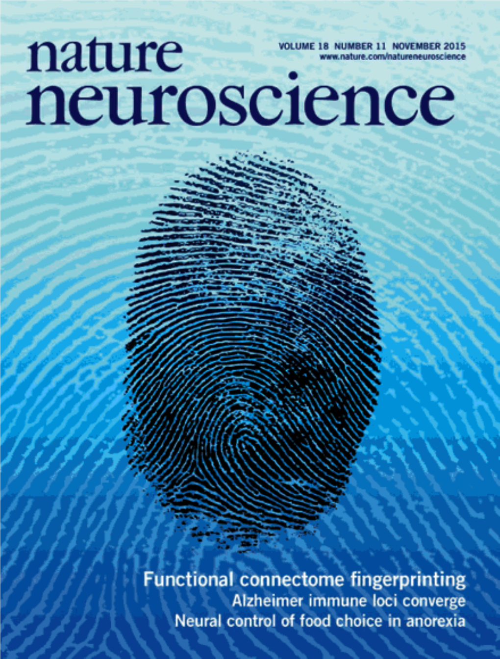 Functional Connectome Fingerprinting: Identifying Individuals Using Patterns of Brain Connectivity