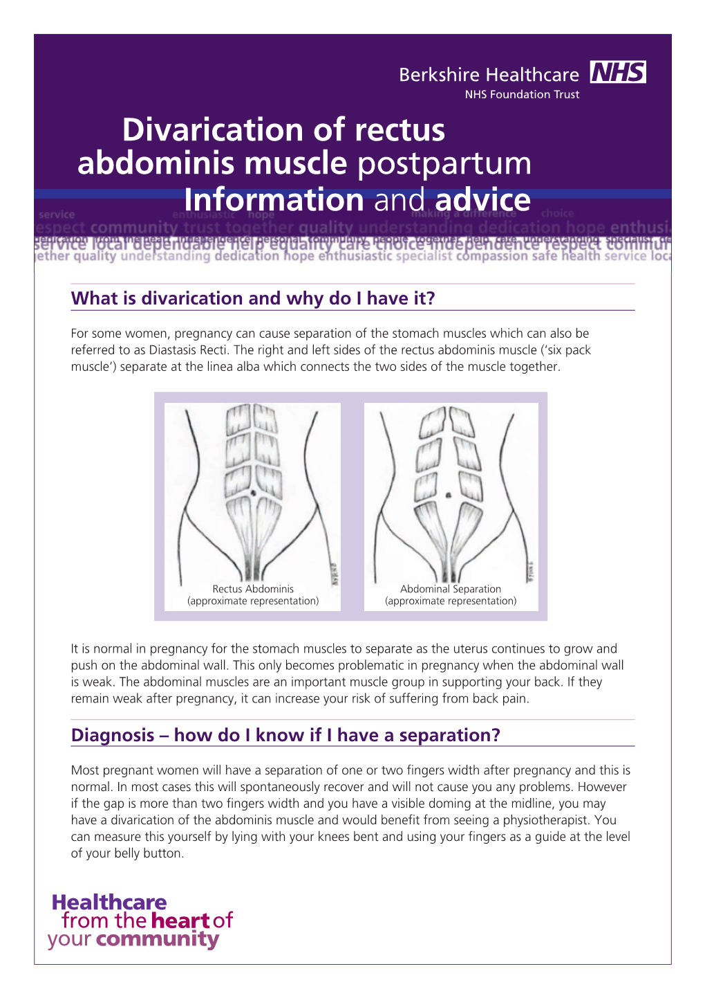 Divarication of Rectus Abdominis Muscle Postpartum Information And