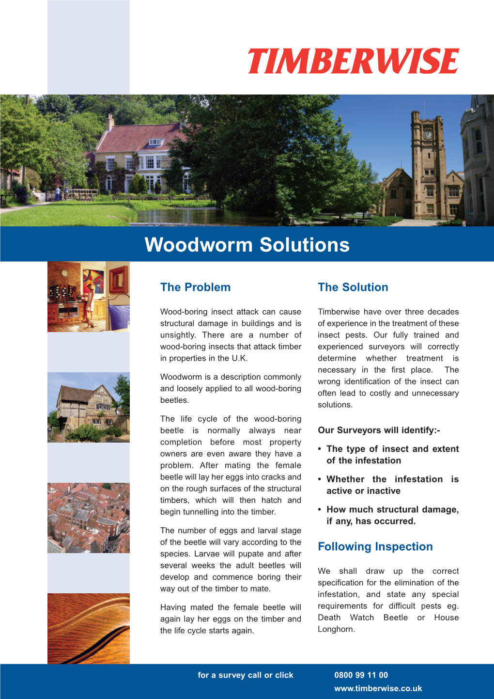 Woodworm and Beetle Infestation Solutions from Timberwise