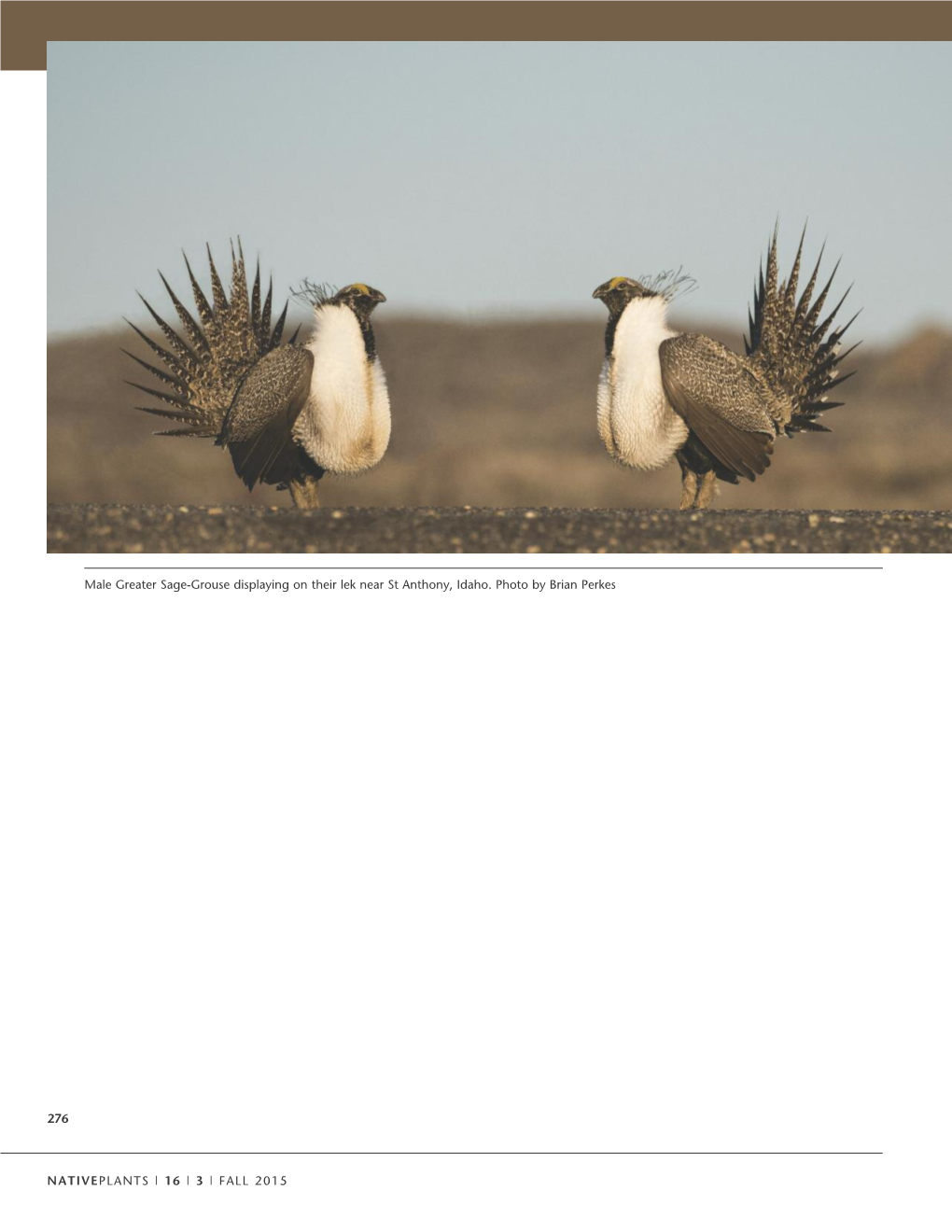 Conserving and Restoring Habitat for Greater Sage-Grouse and Other Sagebrush-Obligate Wildlife: the Crucial Link of Forbs and Sagebrush Diversity