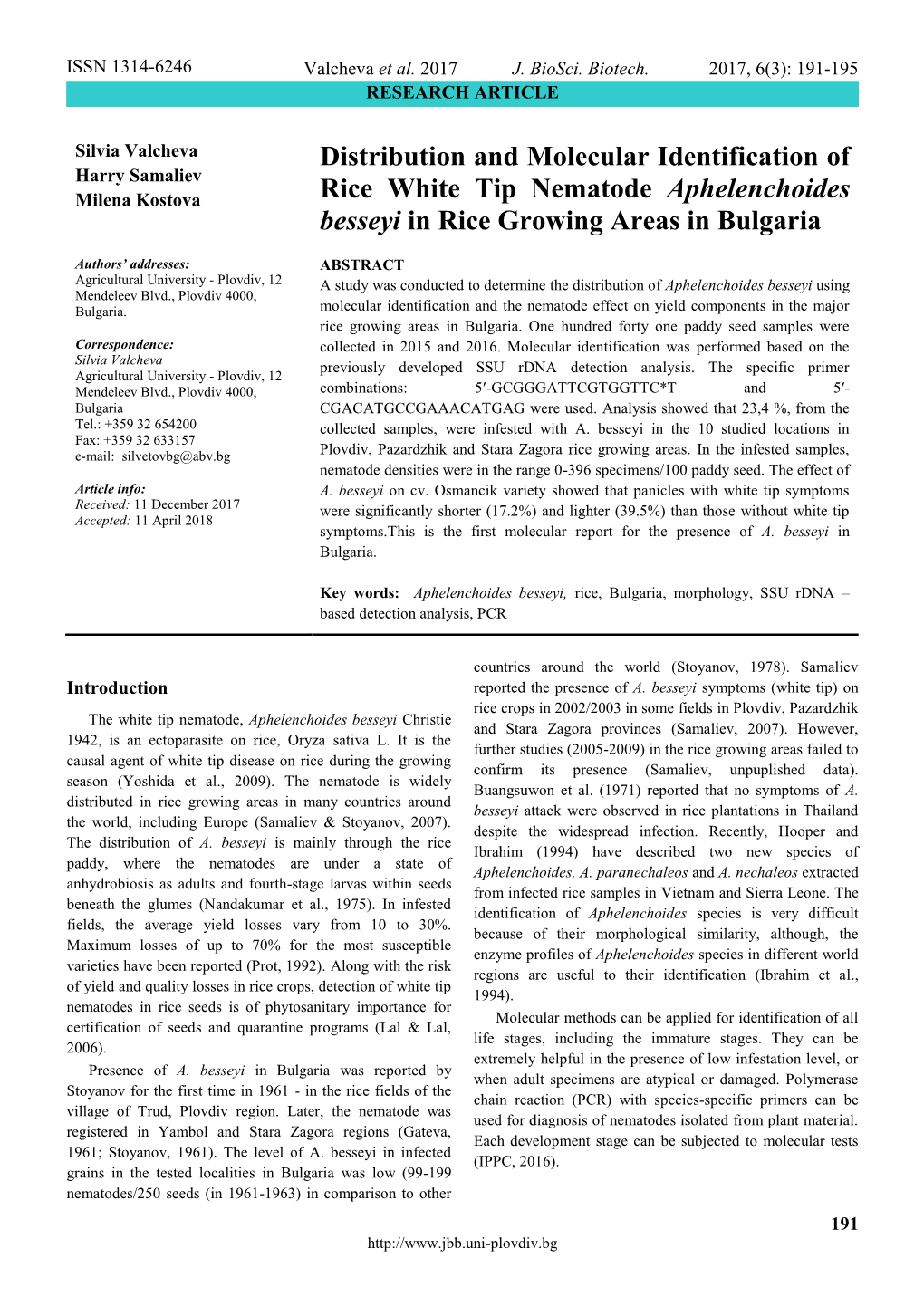 Distribution and Molecular Identification of Rice White Tip