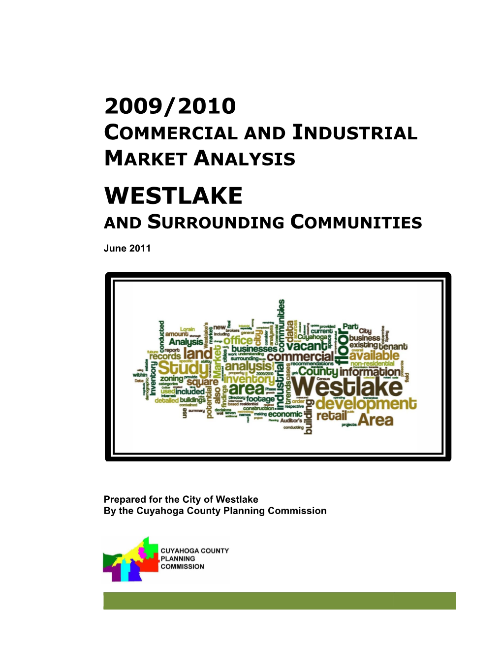 2009/2010 Commercial and Industrial Market Analysis