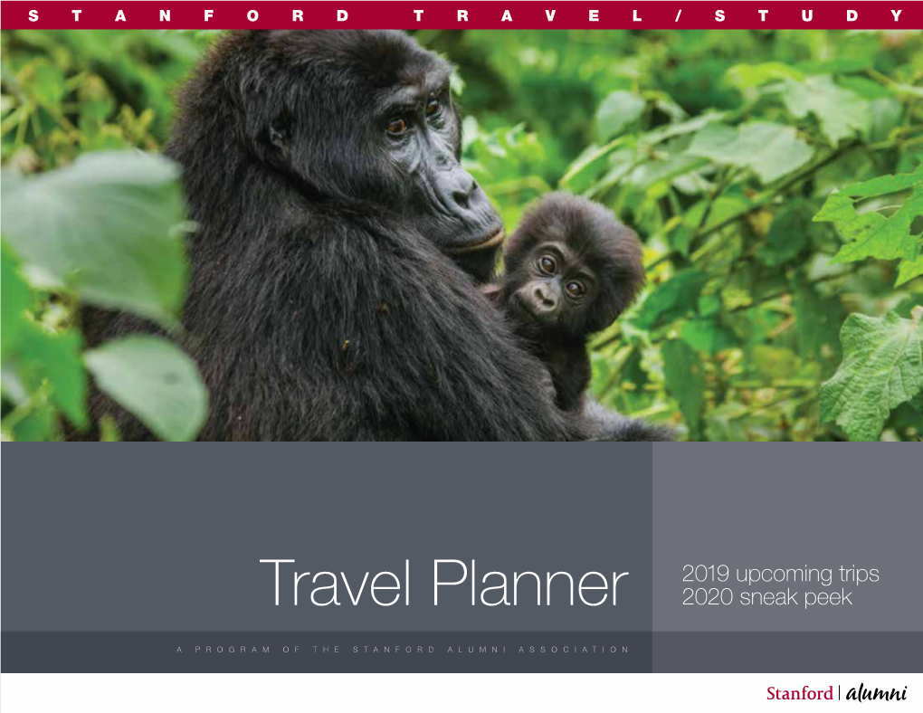 Travel Planner 2019 Upcoming Trips
