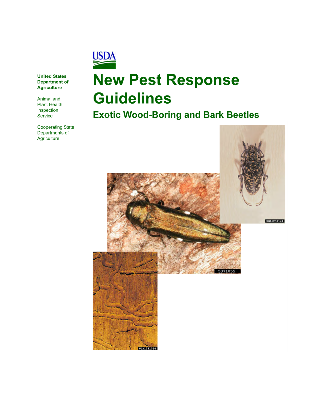 Wood Boring Bark Beetles.Book