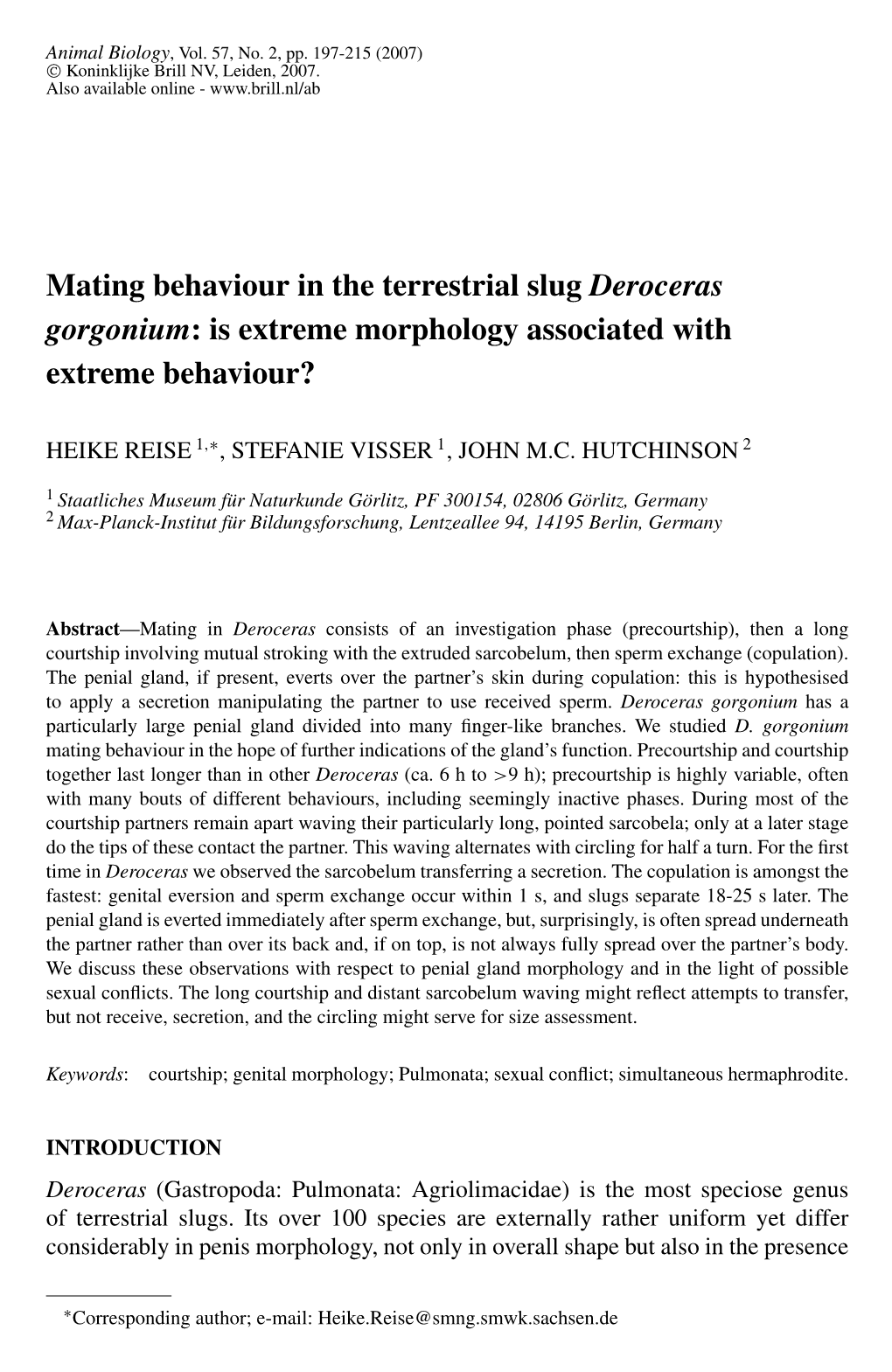 Mating Behaviour in the Terrestrial Slug Deroceras Gorgonium: Is Extreme Morphology Associated with Extreme Behaviour?