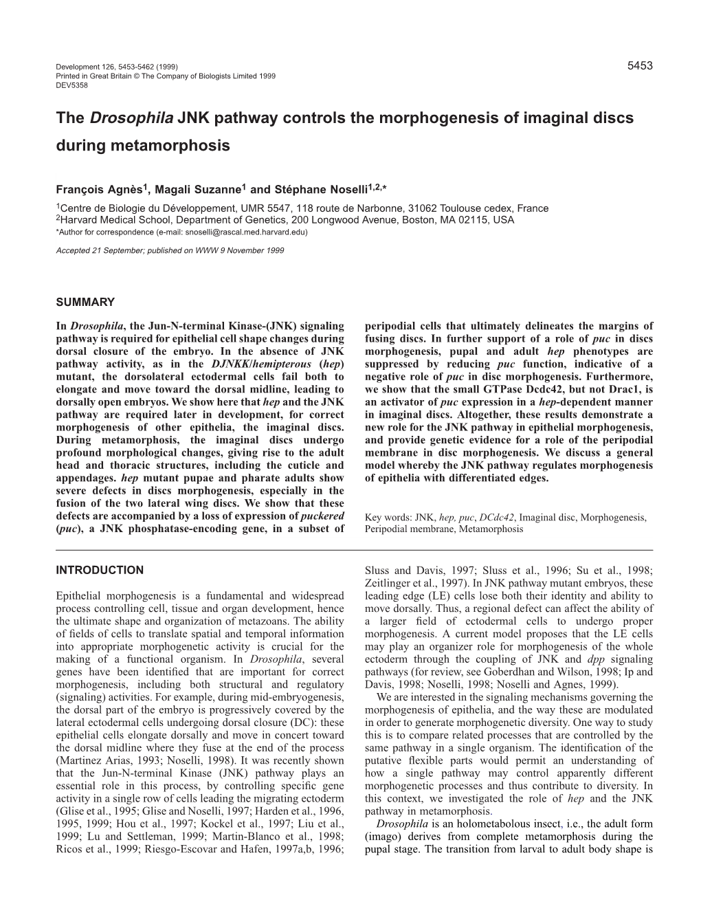 The Drosophila JNK Pathway Controls the Morphogenesis of Imaginal Discs During Metamorphosis