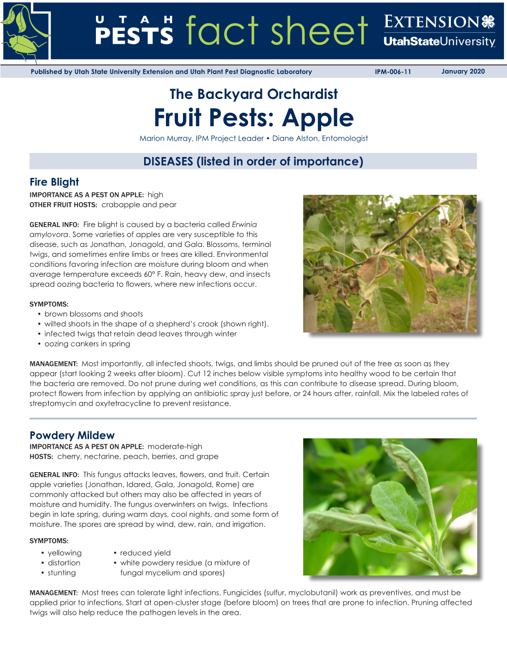 The Backyard Orchardist Fruit Pests: Apple Marion Murray, IPM Project Leader • Diane Alston, Entomologist