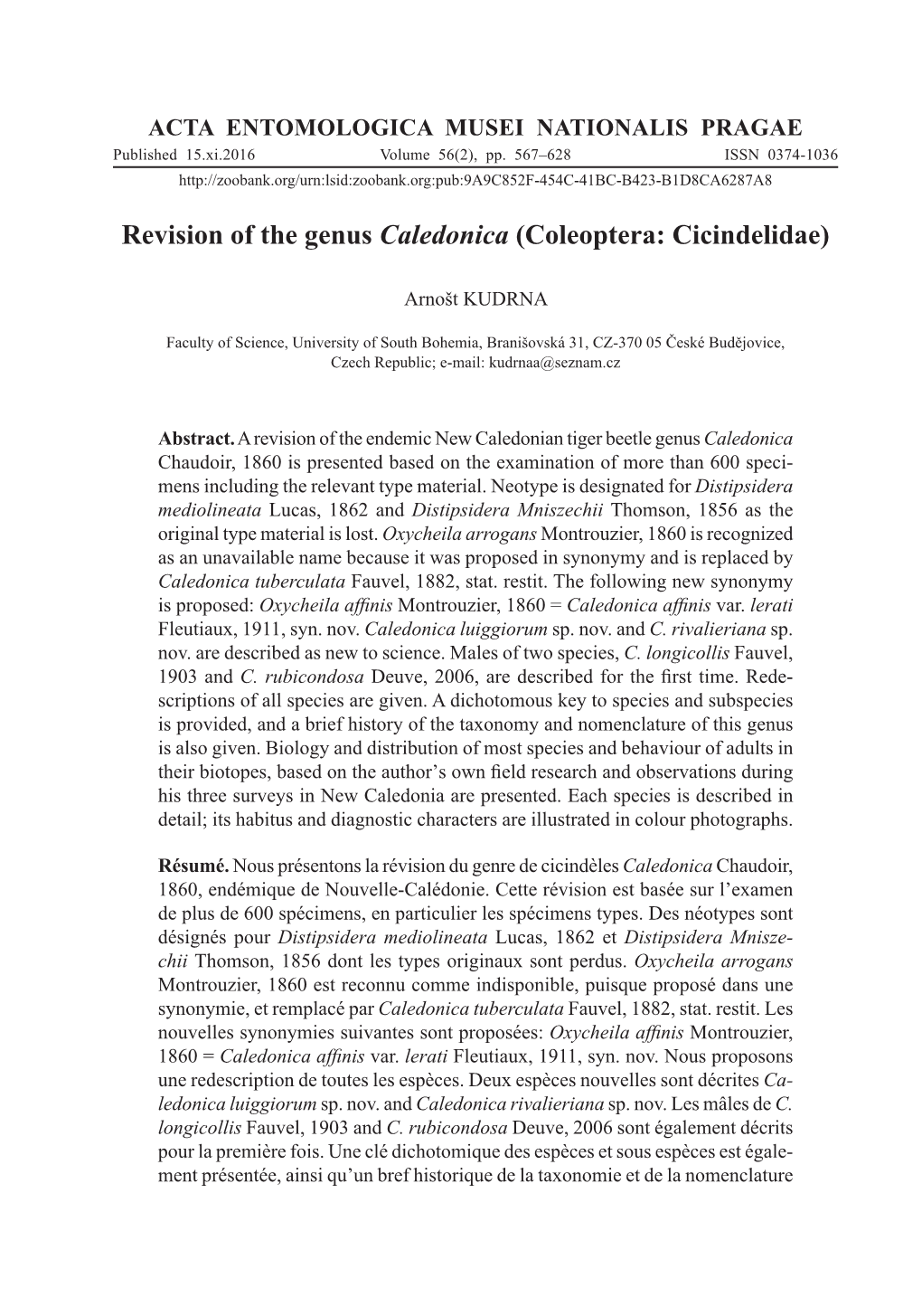 Revision of the Genus Caledonica (Coleoptera: Cicindelidae)