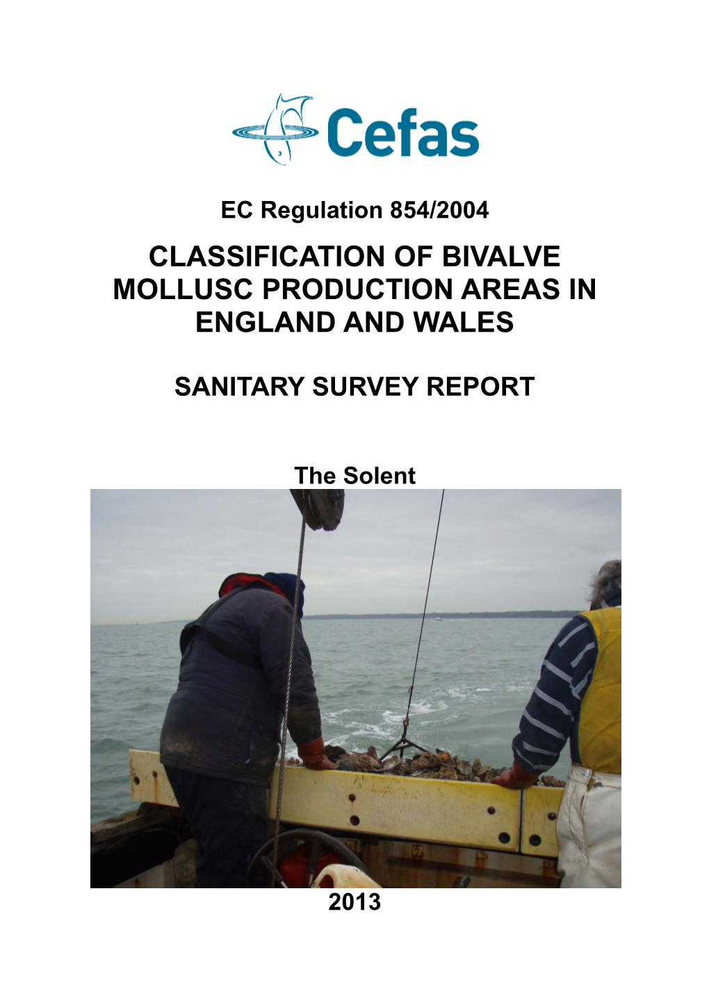 SANITARY SURVEY REPORT the Solent 2013