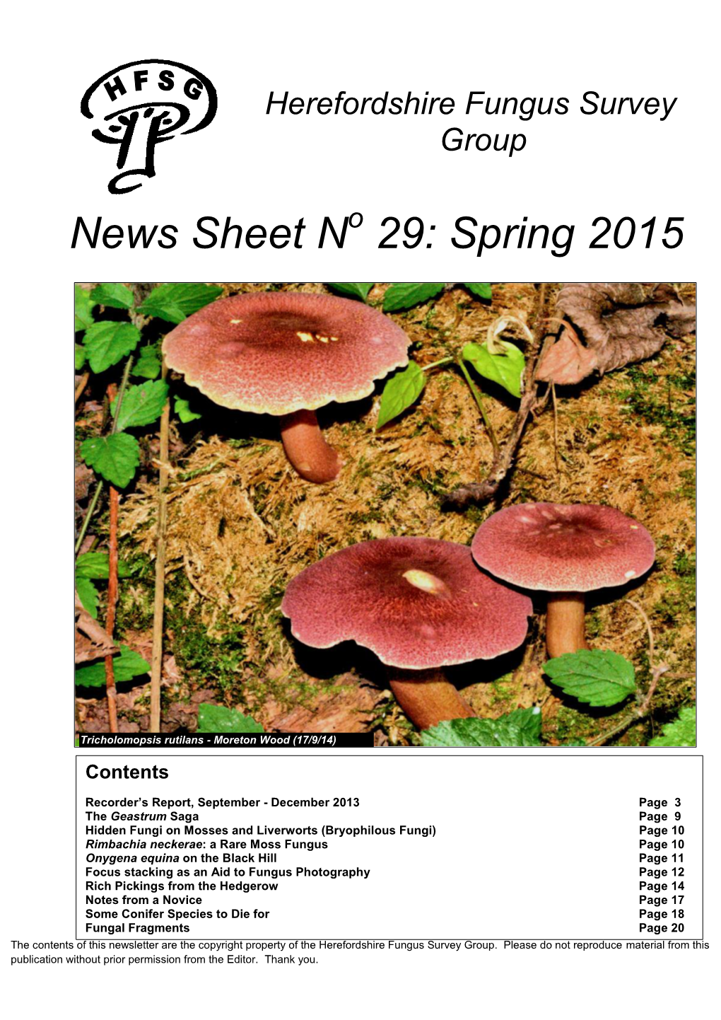 News Sheet N 29: Spring 2015