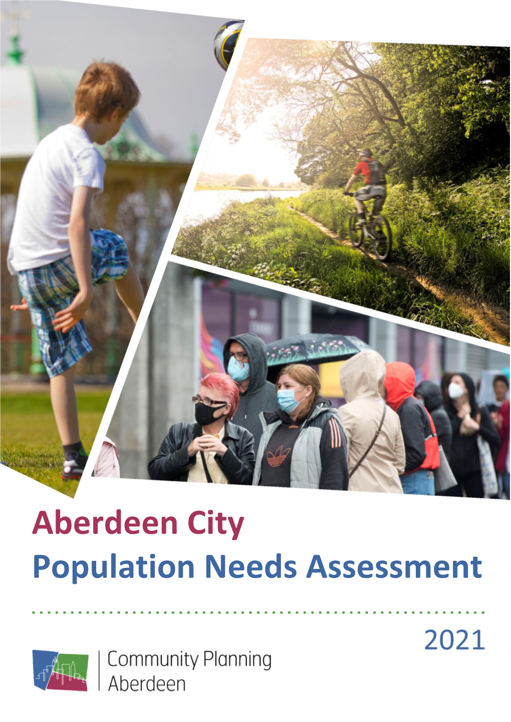 Population Needs Assessment