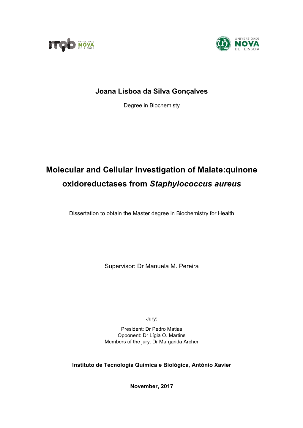 Molecular and Cellular Investigation of Malate:Quinone Oxidoreductases from Staphylococcus Aureus