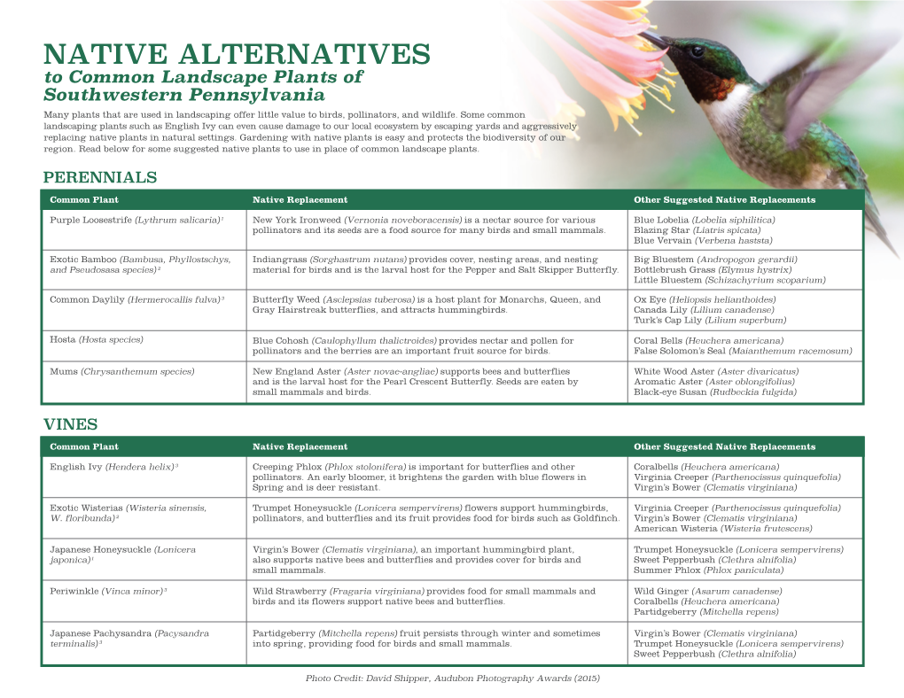 Audubon Native Alternatives Flyer V5