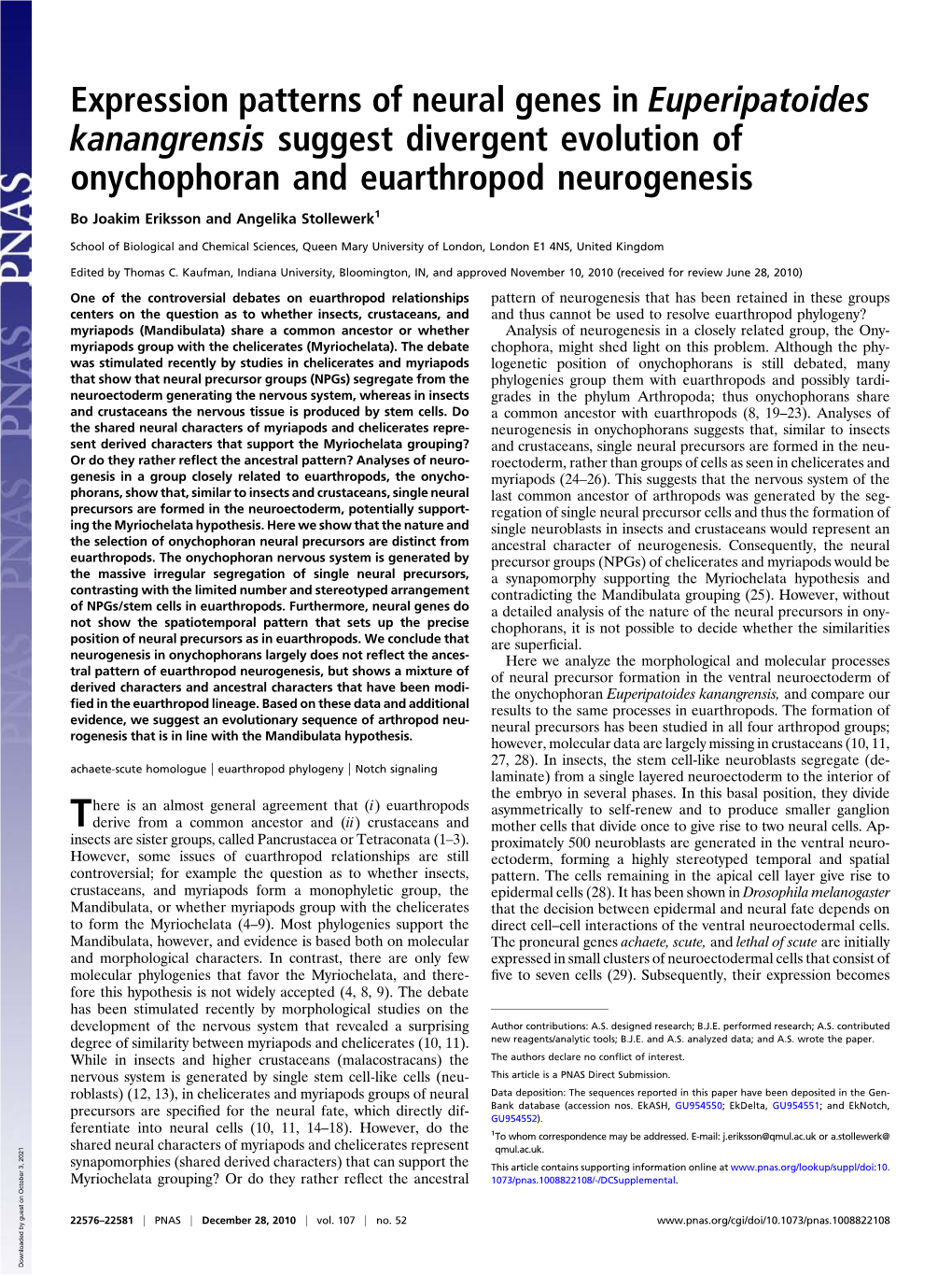 Expression Patterns of Neural Genes in Euperipatoides Kanangrensis Suggest Divergent Evolution of Onychophoran and Euarthropod Neurogenesis