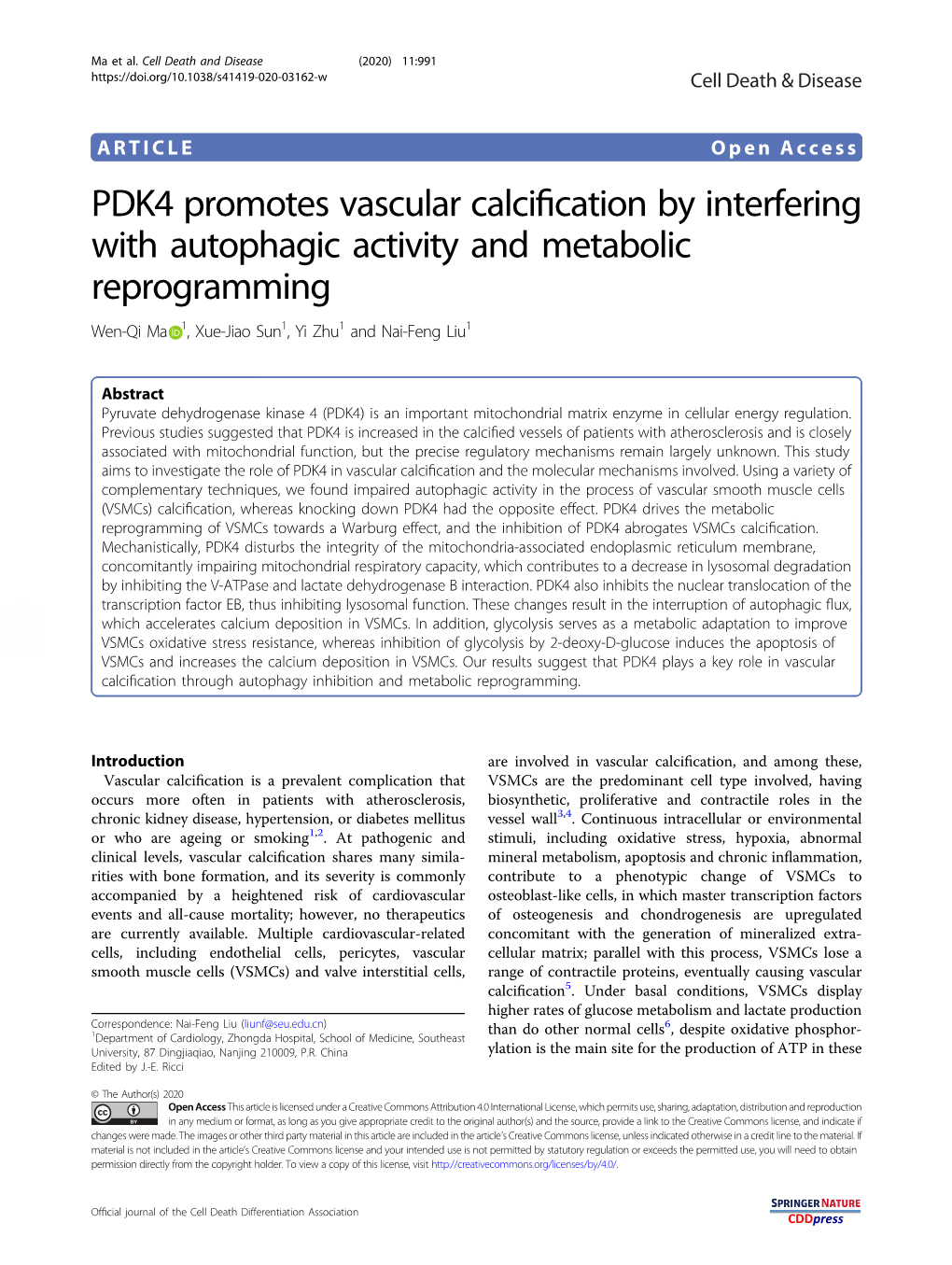 PDK4 Promotes Vascular Calcification by Interfering with Autophagic
