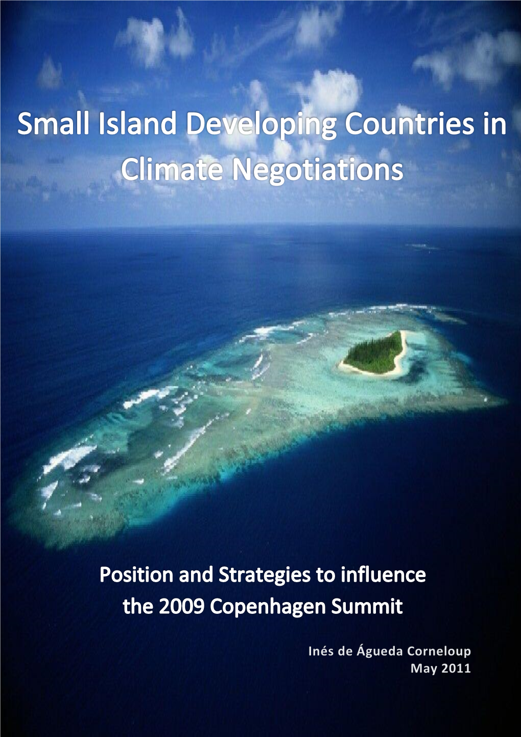 Small Island Developing Countries in Climate Negotiations