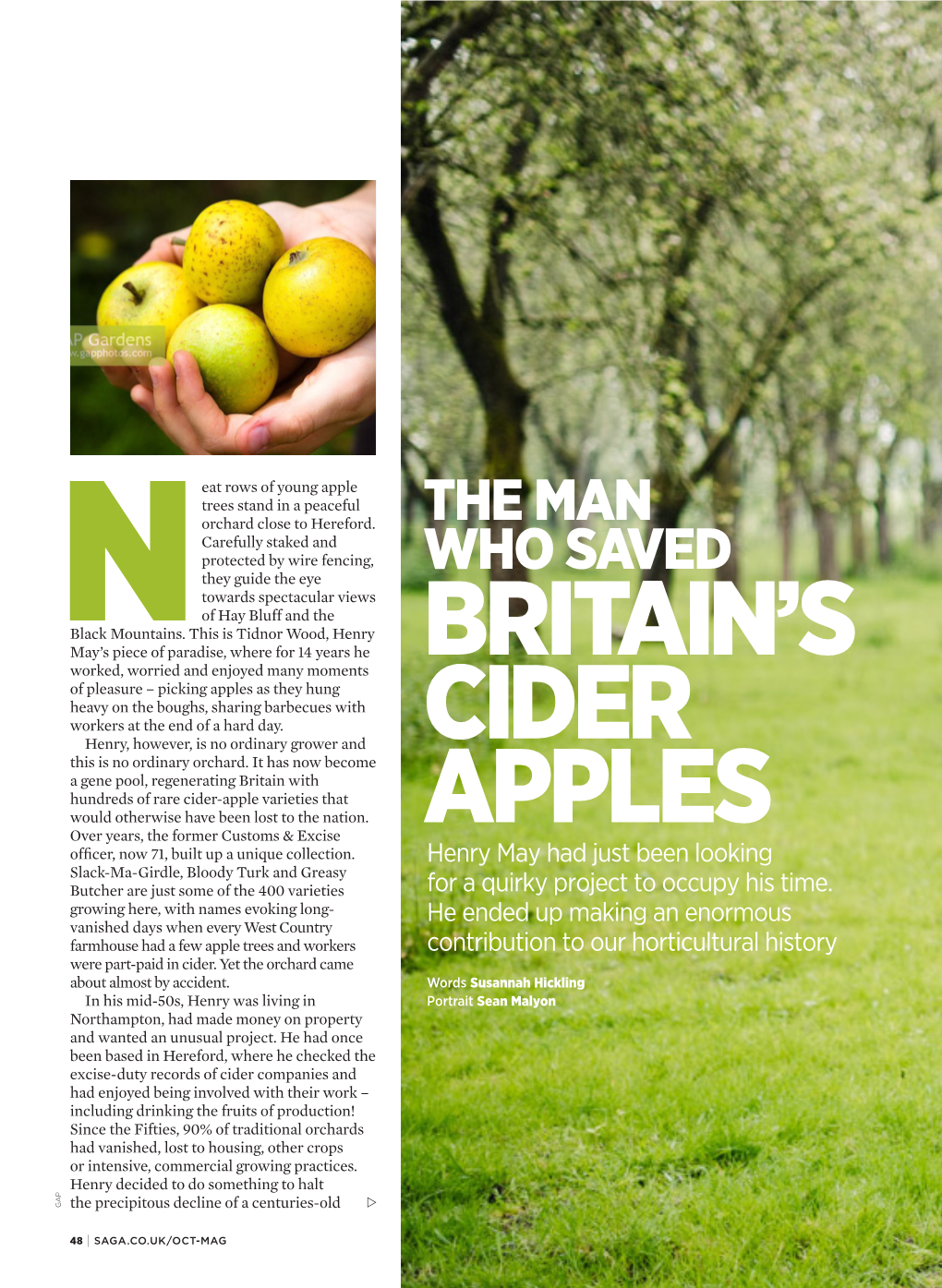 Britain's Cider Apples