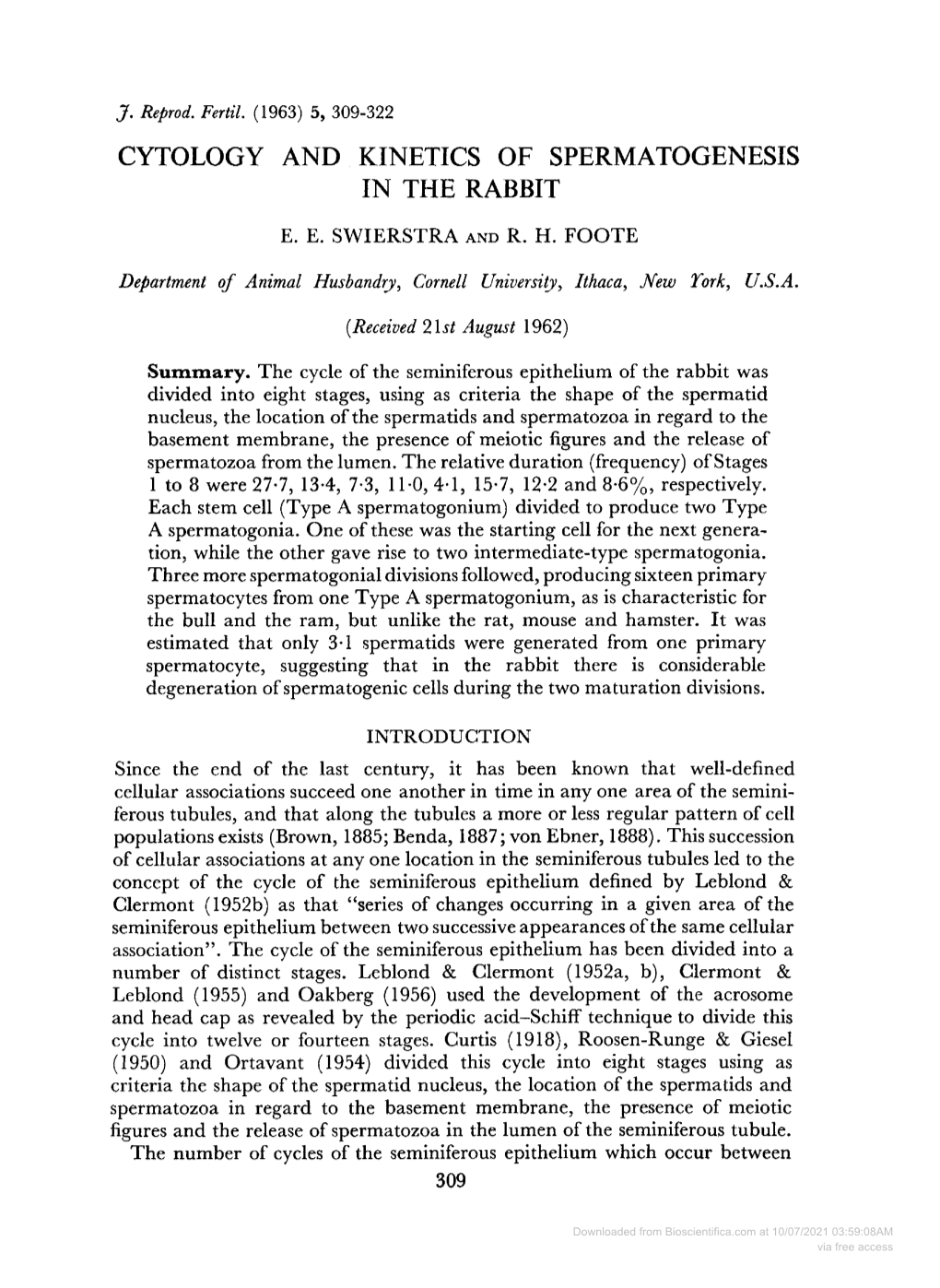 Cytology and Kinetics of Spermatogenesis in the Rabbit