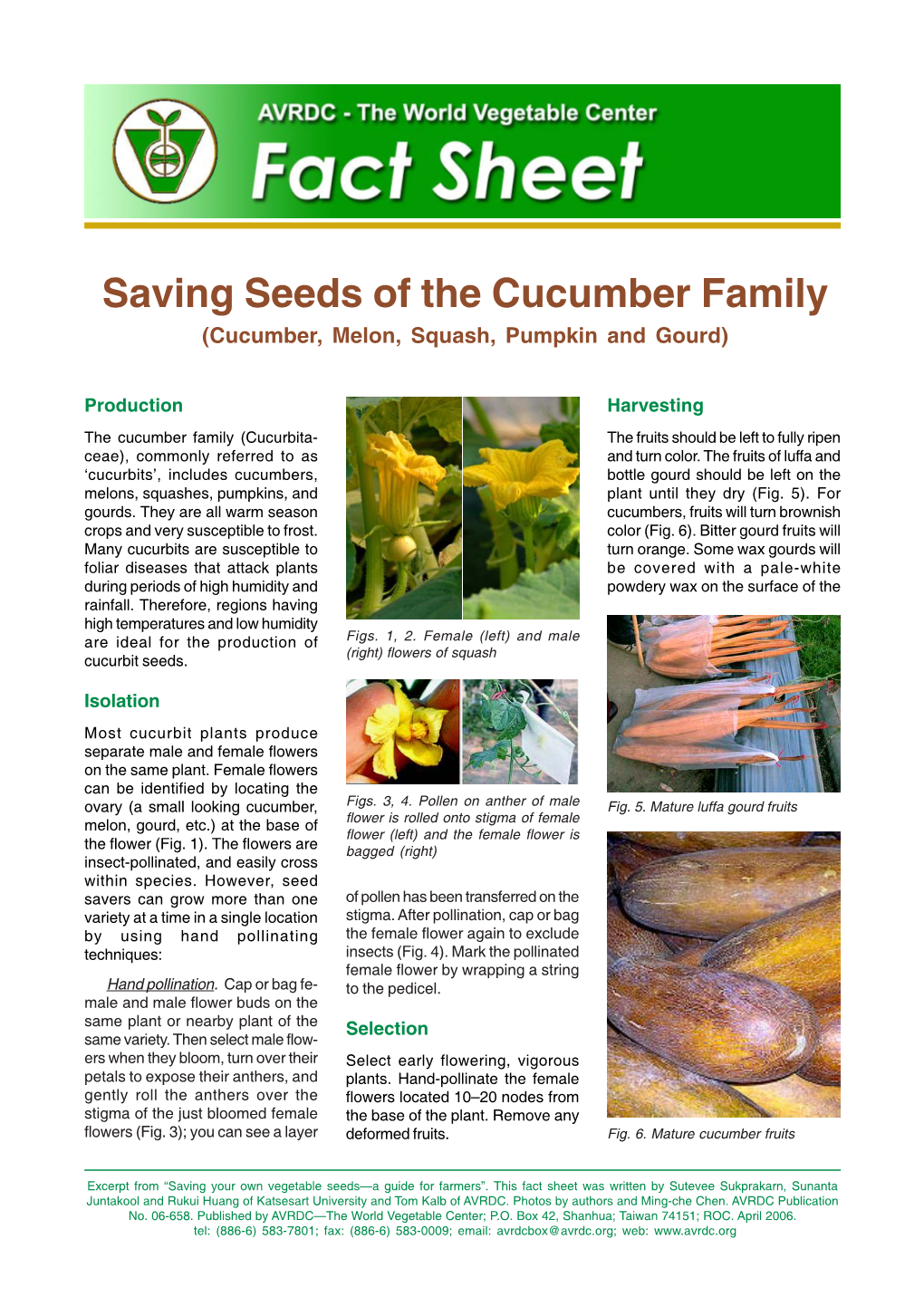 Saving Seeds of the Cucumber Family (Cucumber, Melon, Squash, Pumpkin and Gourd)