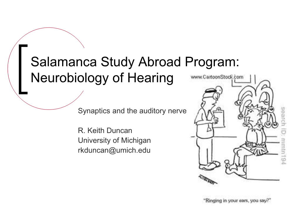 Synaptics and the Auditory Nerve;.Pdf