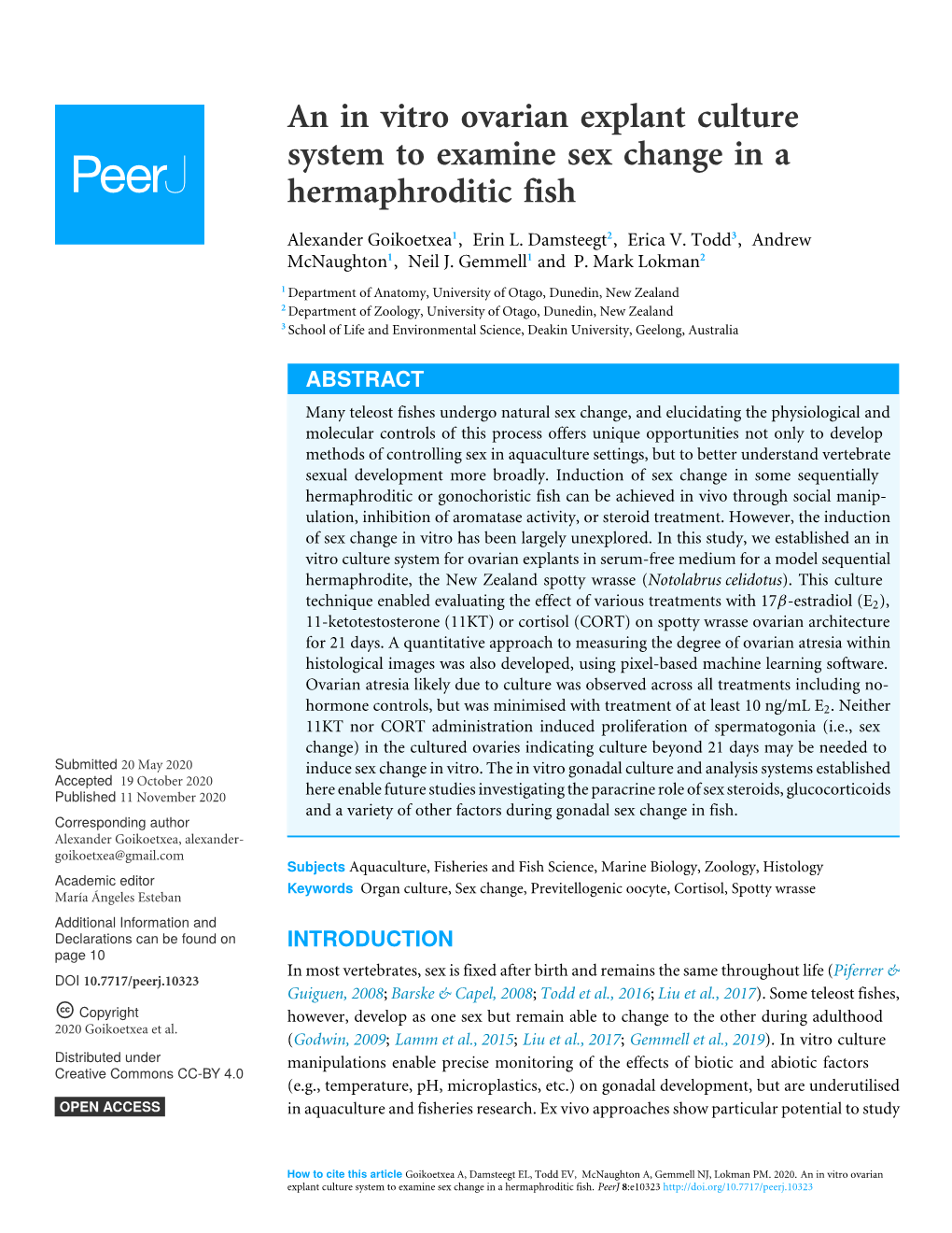An in Vitro Ovarian Explant Culture System to Examine Sex Change in a Hermaphroditic Fish
