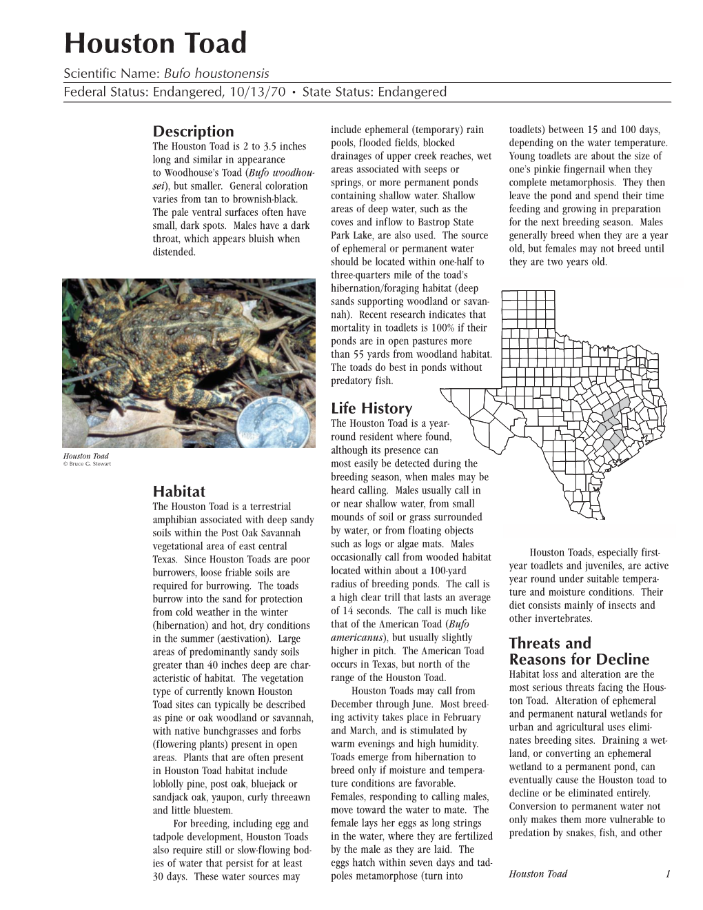 Houston Toad Scientific Name: Bufo Houstonensis Federal Status: Endangered, 10/13/70 • State Status: Endangered