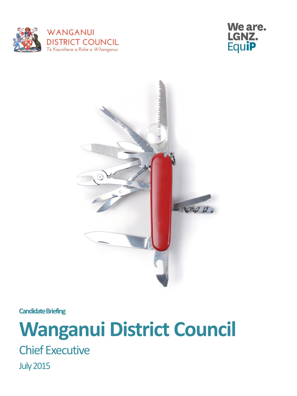 Wanganui District Council Chief Executive