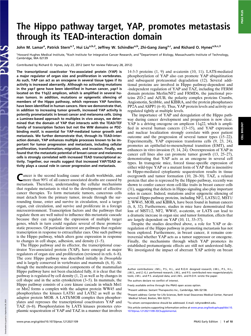 The Hippo Pathway Target, YAP, Promotes Metastasis Through Its TEAD-Interaction Domain