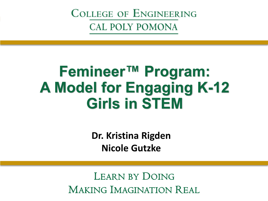 Femineer™ Program: a Model for Engaging K-12 Girls in STEM