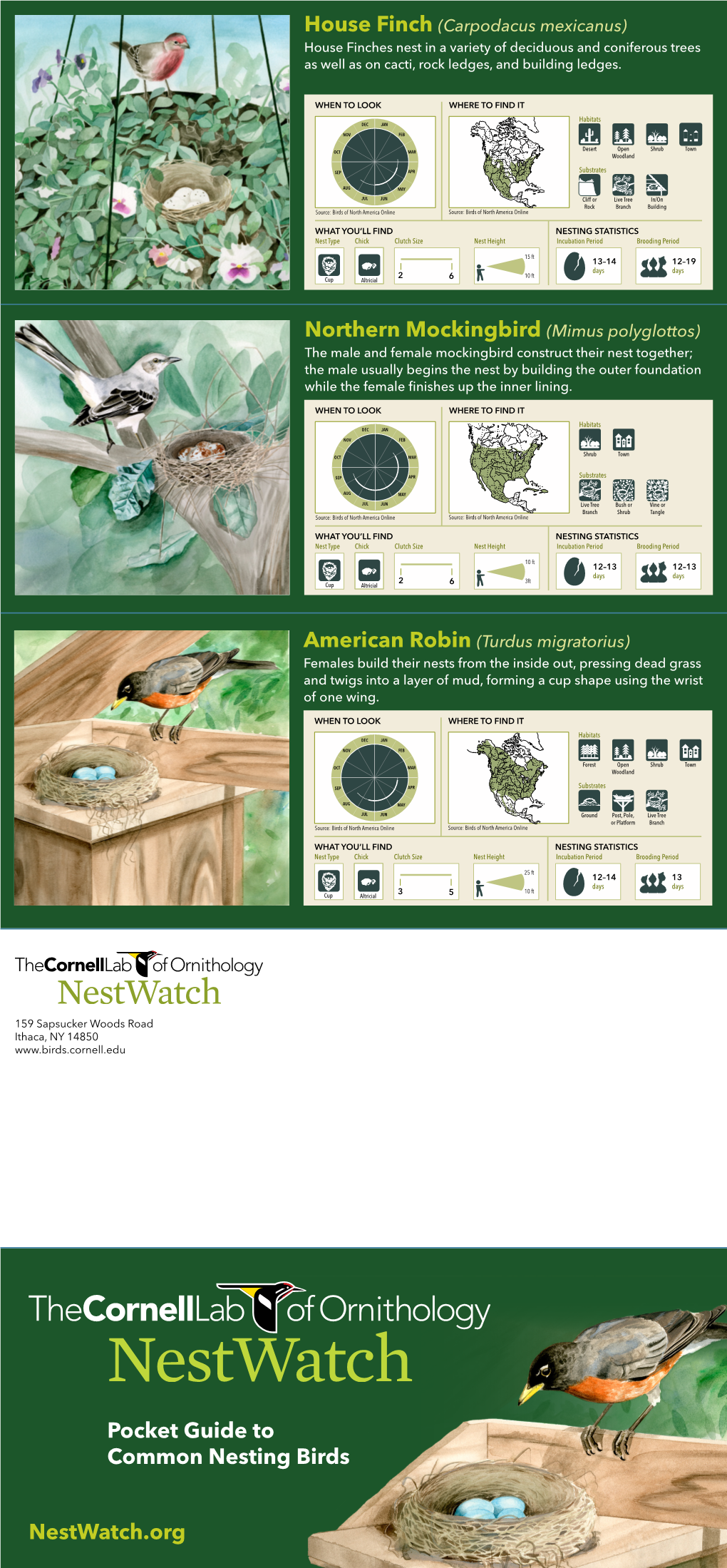 Pocket Guide to Common Nesting Birds Nestwatch.Org Northern