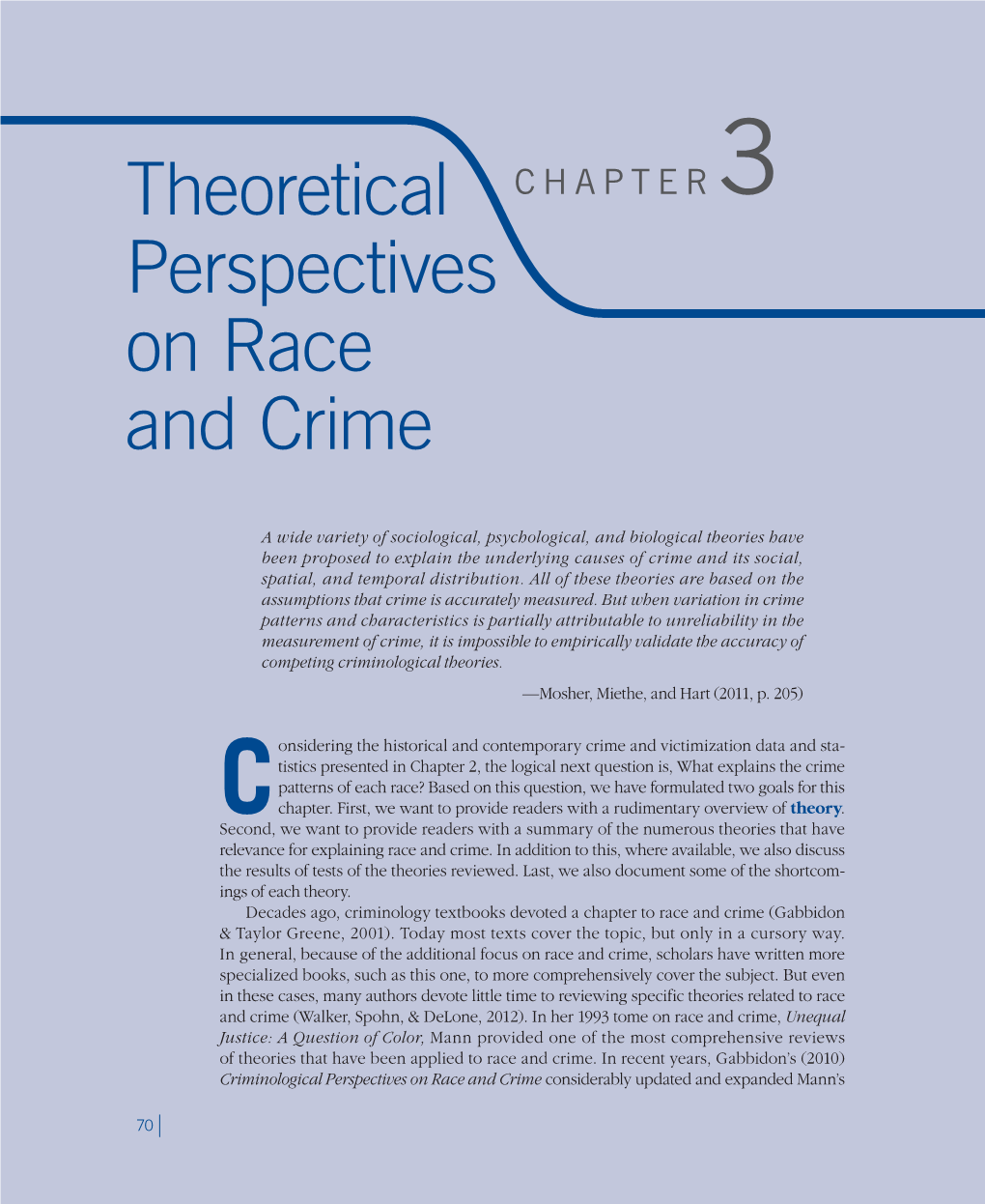 Theoretical Perspectives on Race and Crime