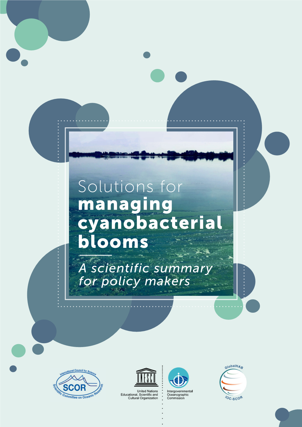 Solutions for Managing Cyanobacterial Blooms