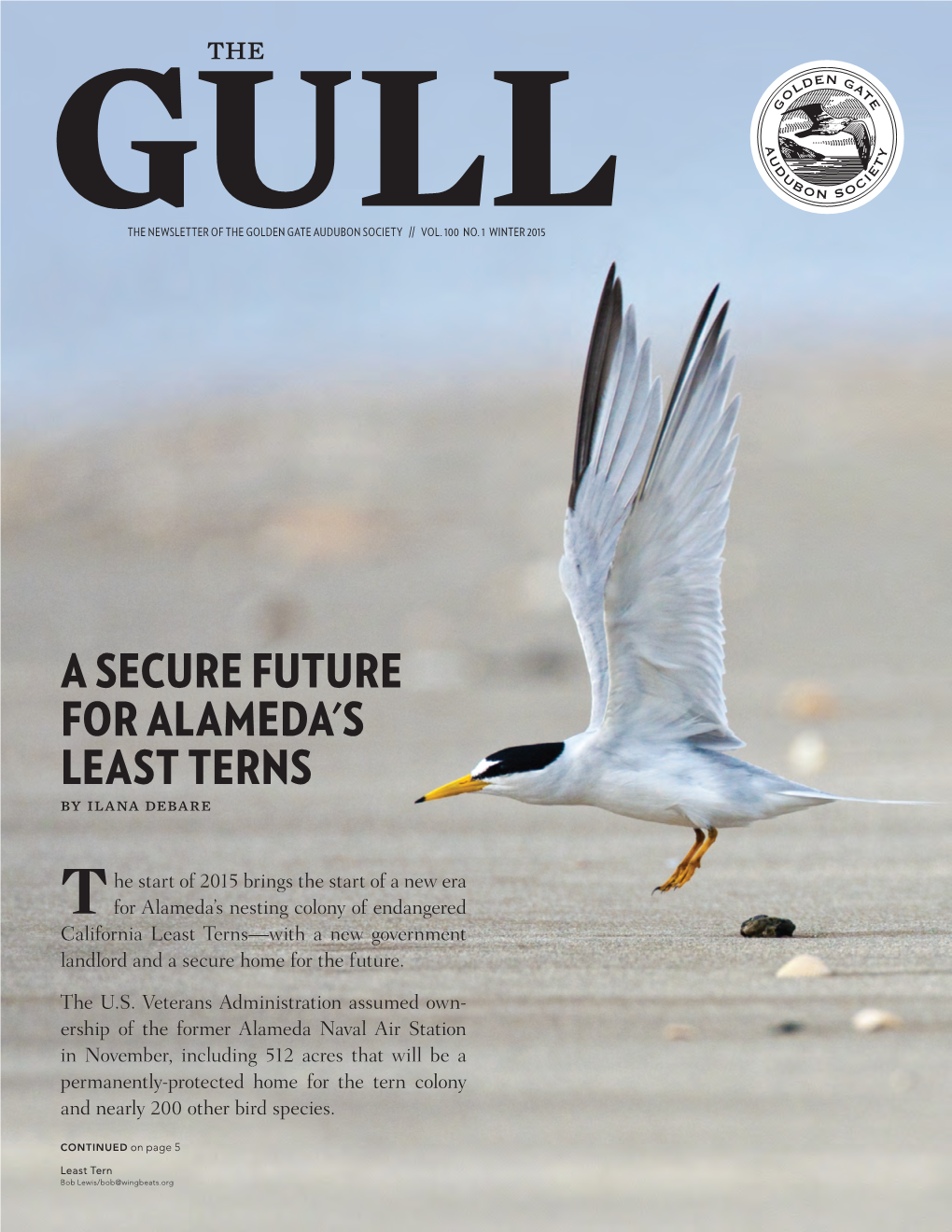 A SECURE FUTURE for ALAMEDA's LEAST TERNS by Ilana Debare