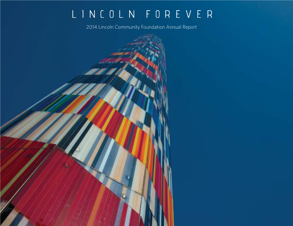 2014 Lincoln Community Foundation Annual Report 2014 OVERVIEW