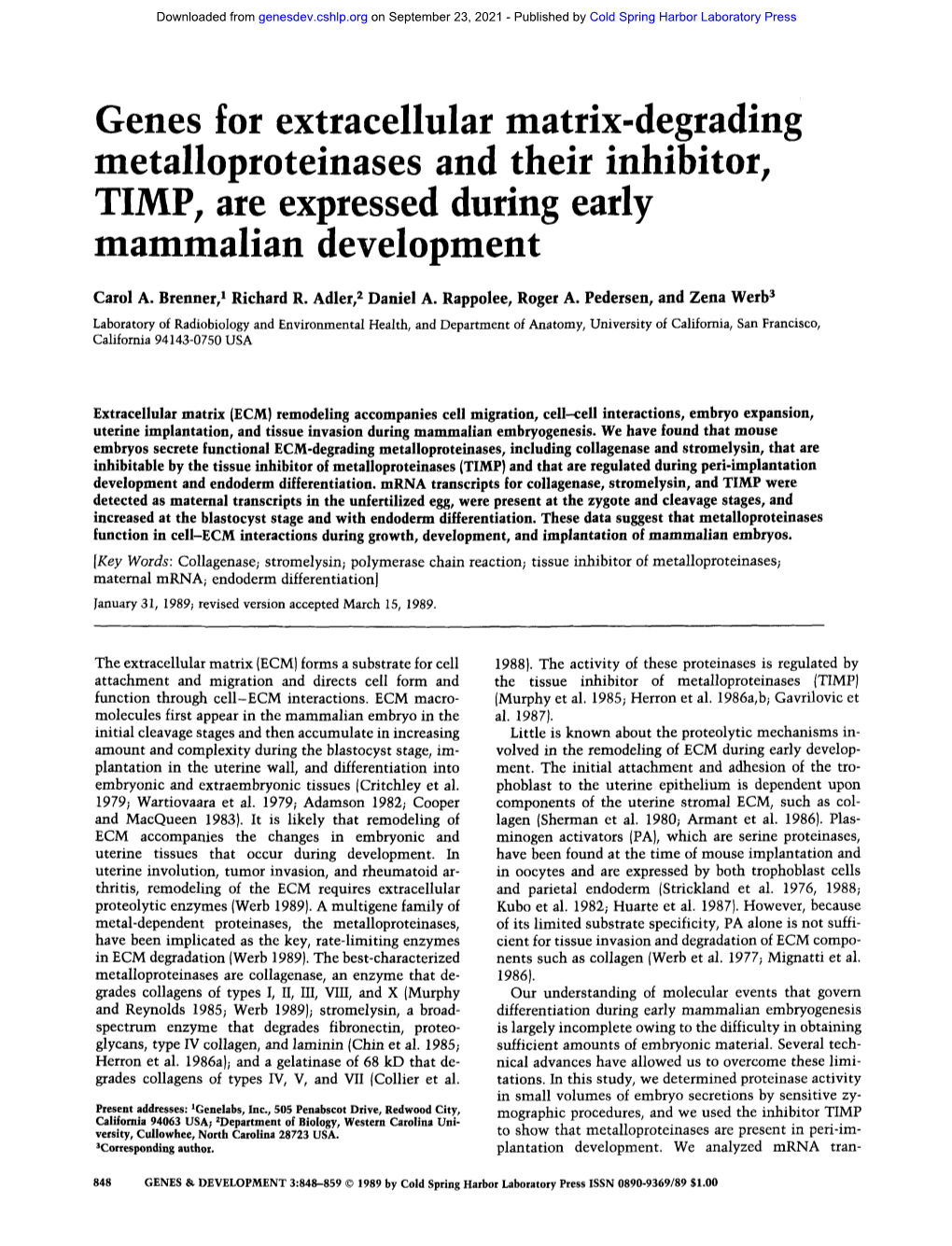 Genes for Extracellular Matrix-Degrading Metalloproteinases and Their Inhibitor, TIMP, Are Expressed During Early Mammalian Development