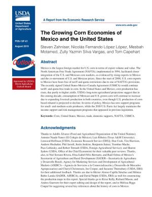 The Growing Corn Economies of Mexico and the United States, Was Reposted to Change Its Report Number from OCS 19F-02 to FDS 19F-01