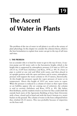 The Ascent of Water in Plants