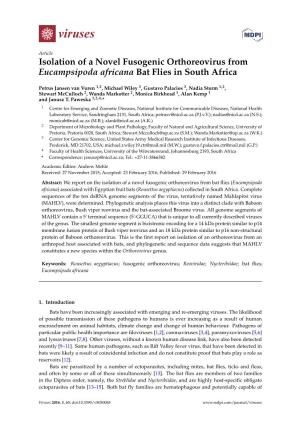 Isolation of a Novel Fusogenic Orthoreovirus from Eucampsipoda Africana Bat Flies in South Africa