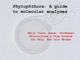 Phytophthora: a Guide to Molecular Analyses