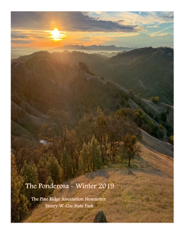 The Ponderosa - Winter 2019