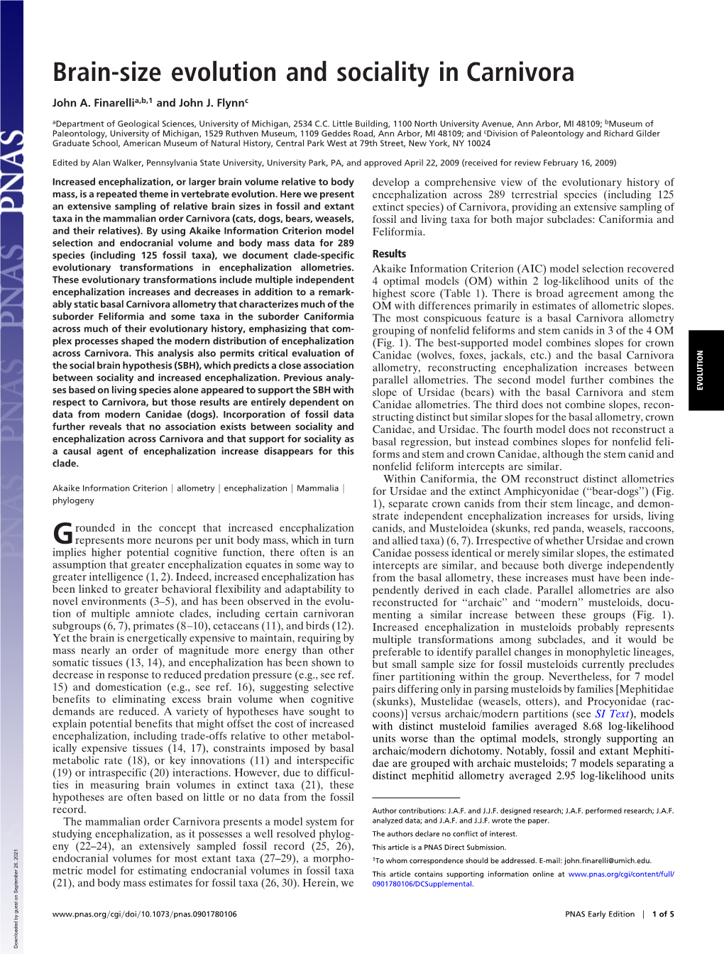 Brain-Size Evolution and Sociality in Carnivora