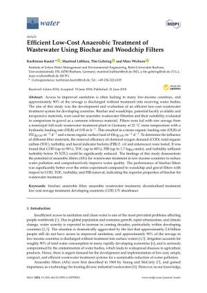 Efficient Low-Cost Anaerobic Treatment of Wastewater Using Biochar and Woodchip Filters