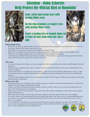 Attention - Oahu Arborists Help Protect the Official Bird of Honolulu!