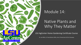 Native Plants and Why It Matters