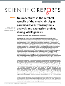 Neuropeptides in the Cerebral Ganglia of the Mud Crab, Scylla