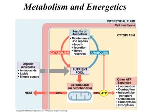 Metabolism and Energetics Oxidation of Carbon Atoms of Glucose Is the Major Source of Energy in Aerobic Metabolism