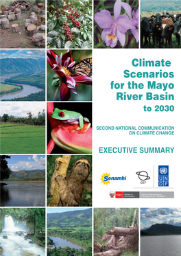 Climate Scenarios for the Mayo River Basin